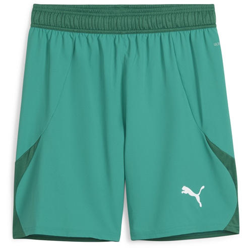 Puma - Puma Teamfinal Shorts Football Short Mens