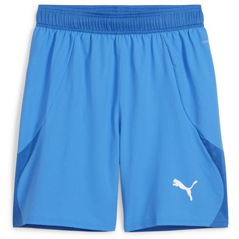 Puma - Puma Teamfinal Shorts Football Short Mens