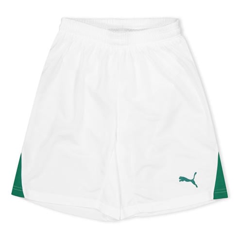 Puma - (F3) Fb Team Shorts With Brief Juniors