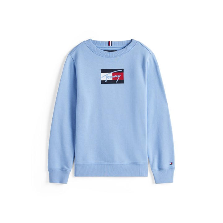 Tommy Hilfiger Boys Blue Tommy Scrpt Flg Crew