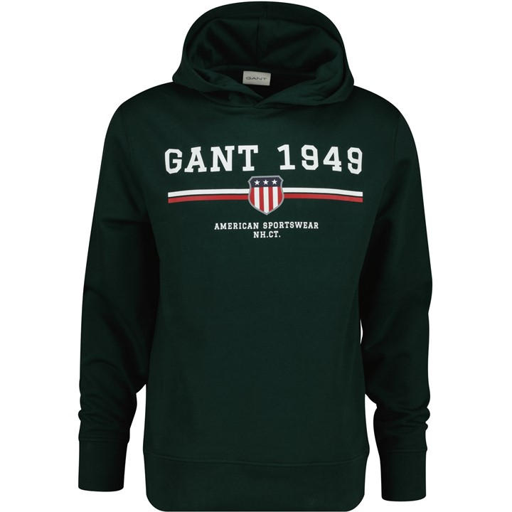 Gant Graphic Hoodie In Green