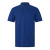 Blue 494