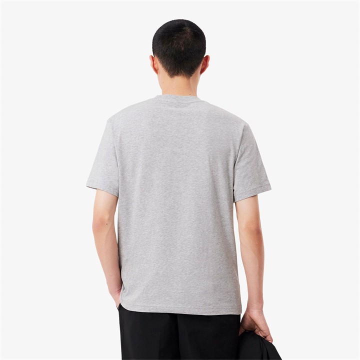 Light Grey CCA - Lacoste - Men's Regular Fit Small Logo T-Shirt