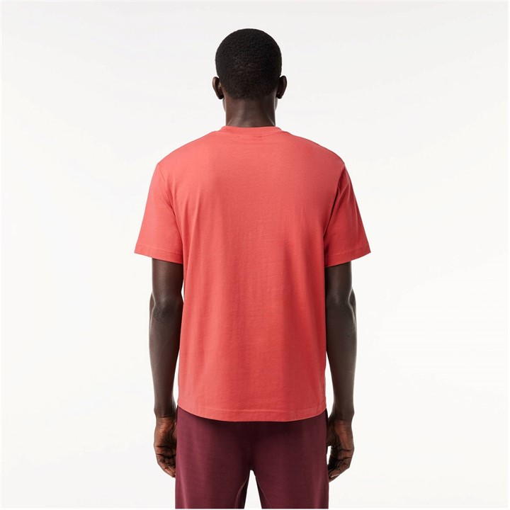 Red ZV9 - Lacoste - Men's Regular Fit Small Logo T-Shirt