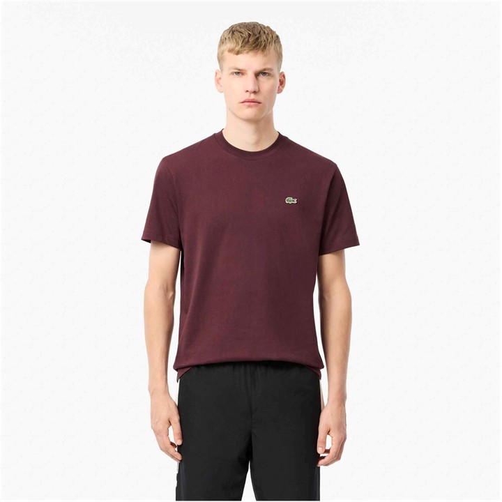 Burg BZD - Lacoste - Men's Regular Fit Small Logo T-Shirt