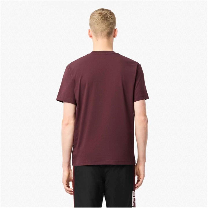 Burg BZD - Lacoste - Men's Regular Fit Small Logo T-Shirt