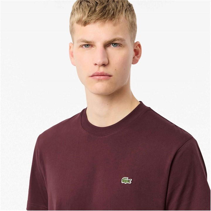 Burg BZD - Lacoste - Men's Regular Fit Small Logo T-Shirt
