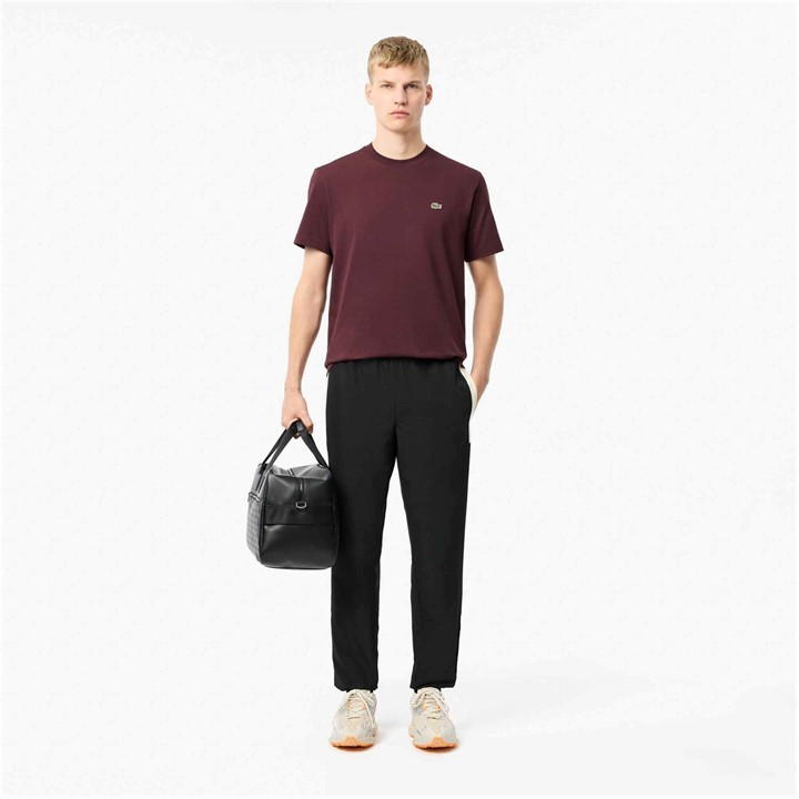 Burg BZD - Lacoste - Men's Regular Fit Small Logo T-Shirt