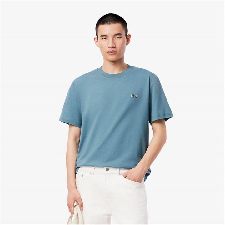 Blue HD9 - Lacoste - Men's Regular Fit Small Logo T-Shirt