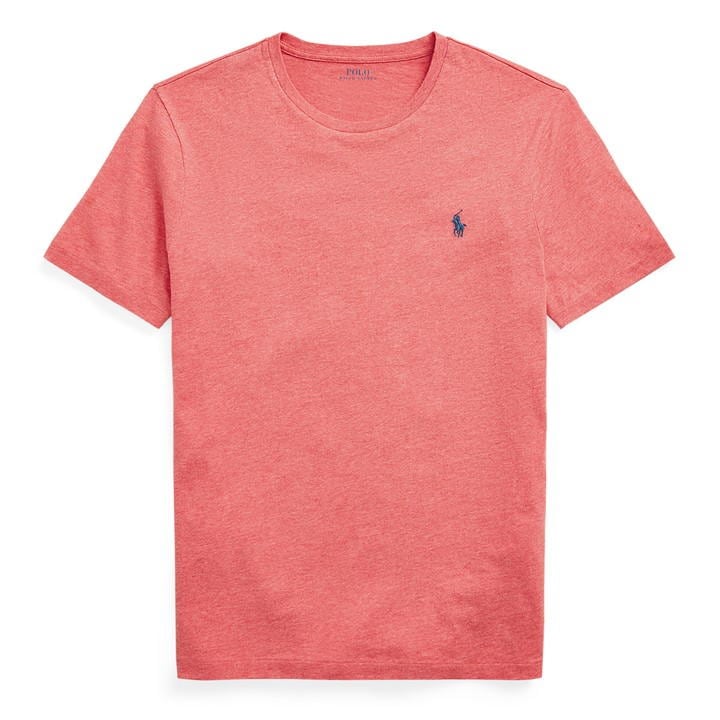 Polo Ralph Lauren Go Embroidered T-shirt In Gray