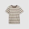 Stripe Green