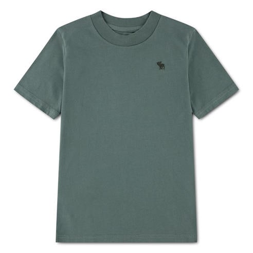 Abercrombie and Fitch - A and F Sht Sleeve E Jn63