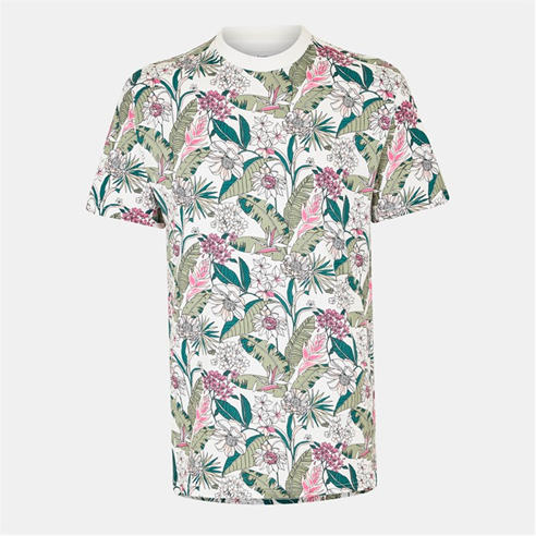 Peter Werth - W Leckonby T Sn99