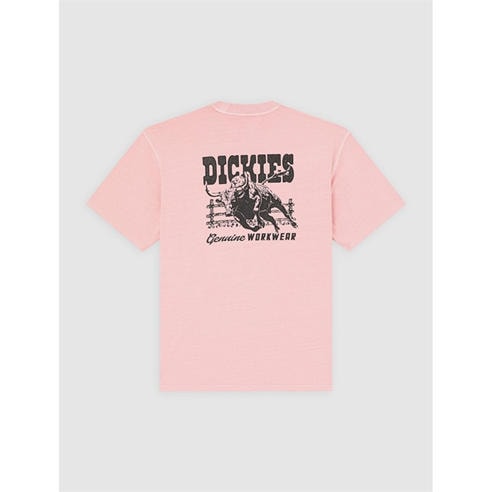 Dickies - Dickies Buchtell Tee Mens