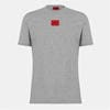 Grey 029