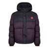 Purple 543