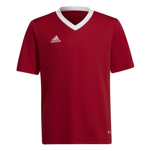 adidas - Unisex Kids Short Sleeve Performance T-Shirt