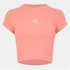 Powder Orange