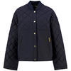 Navy/Tartan