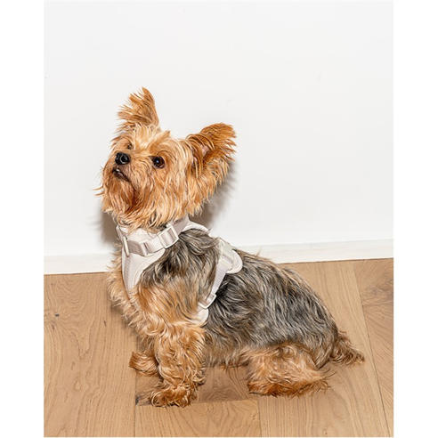 Wild One - Dog Harness