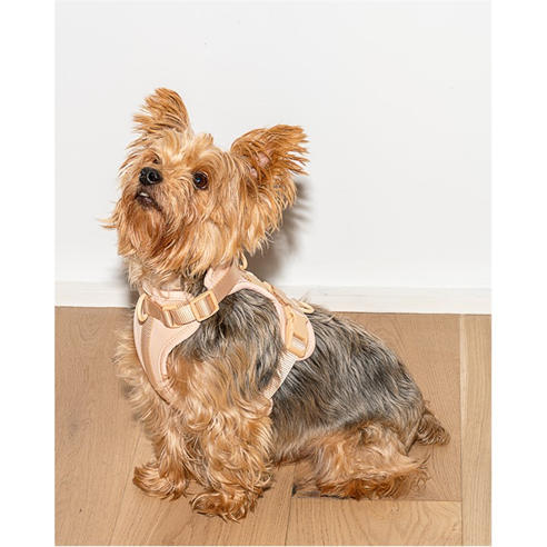 Wild One - Dog Harness