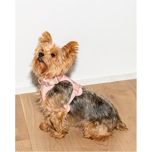 Wild One - Dog Harness