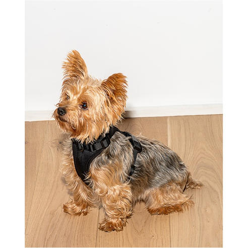 Wild One - Dog Harness