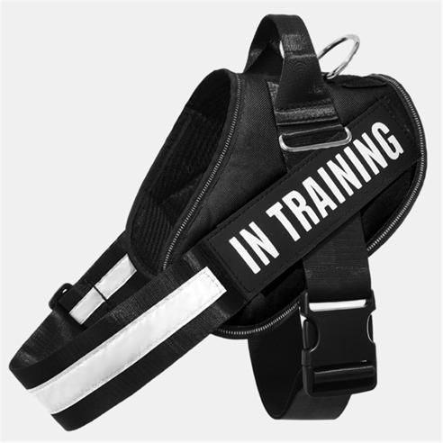Waggy Tails - Pet Harness