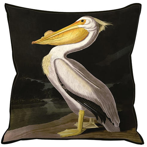The Art Group - John James Audubon Cushion