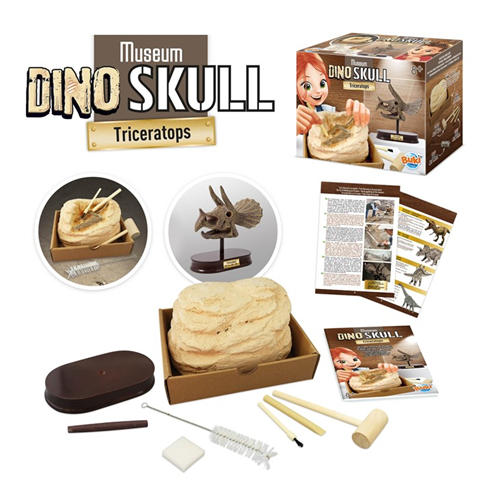 Buki France - Triceratops Museum Skull