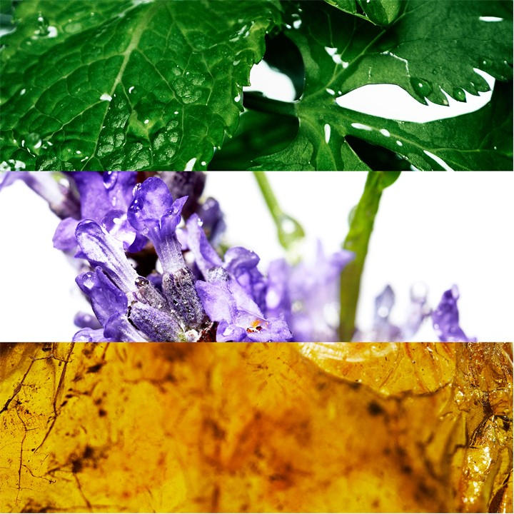 Multi - Davidoff - Cool Water Eau de Toilette Spray 200ml