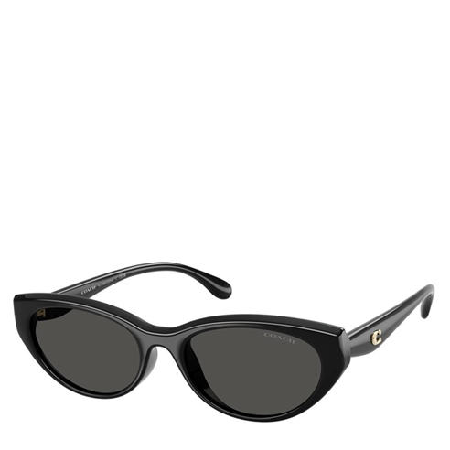 COACH - Women's Cat Eye Sunglasses