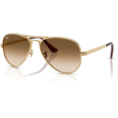 Ray-Ban - Max Sunglasses