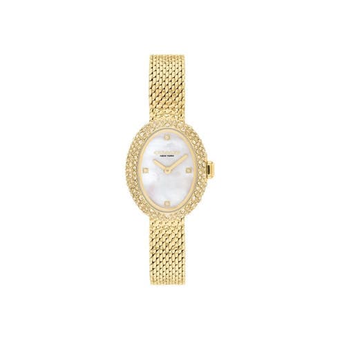 Coach - Sammy Mesh Watch
