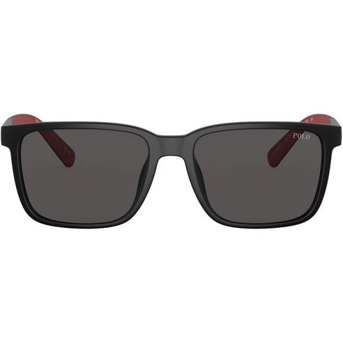 Polo Ralph Lauren - Pol Sun 0PH4189U Sn63