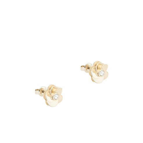 Ted Baker - Women's Pelipa Stud Earrings