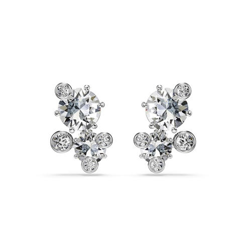 Swarovski - Women's Stud Earrings