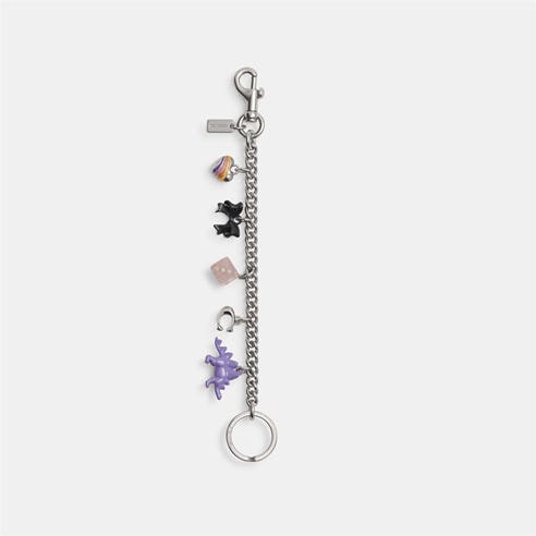 COACH - Women's Chain Bag Charm Keyring