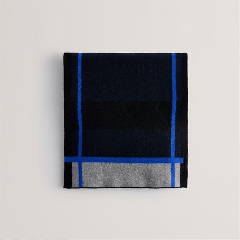 Ted Baker - Ted Stripe Wvn Scarf Ld54