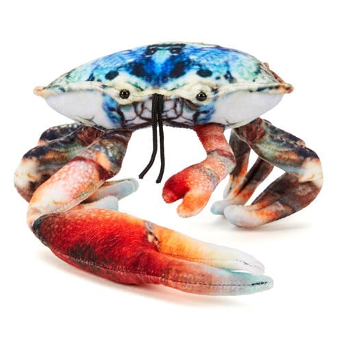 Zappi Co - Zappi Co Fiddler Crab Soft Toy 20cm