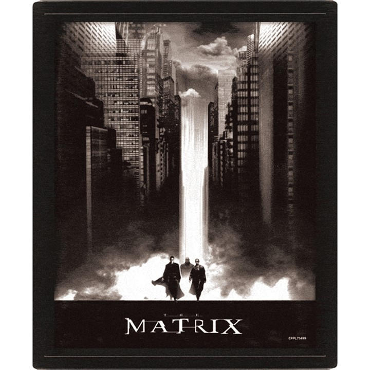 Black - The Matrix - Mat Framed Prnt 3D 99