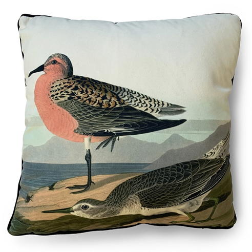 The Art Group - Adults John James Cushion